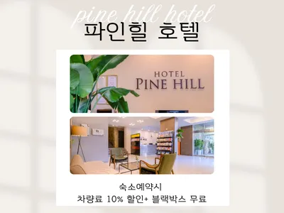 파인힐 호텔