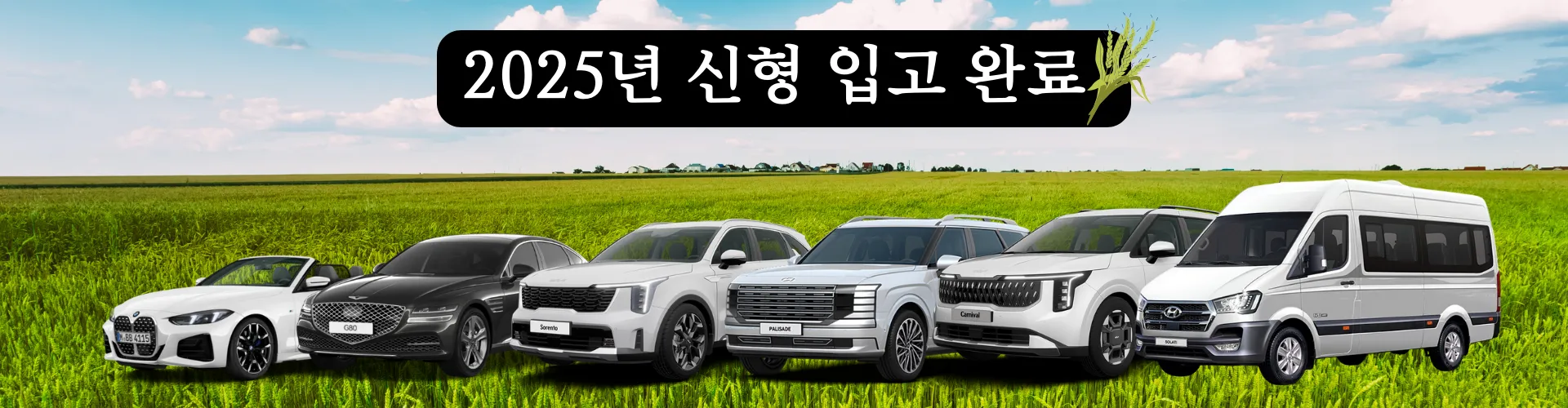 신구차량신규차량