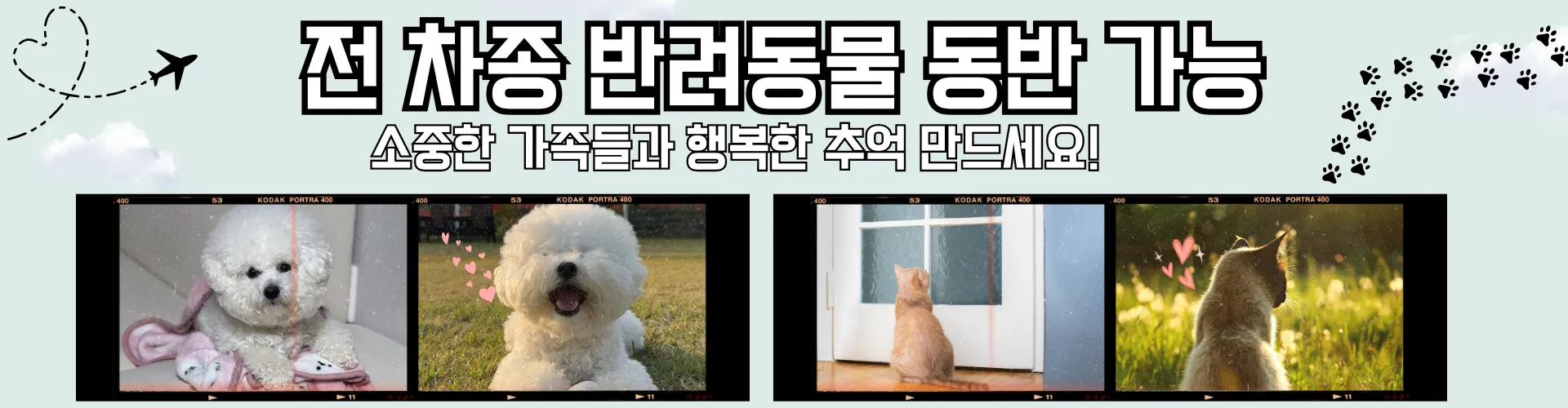 또리